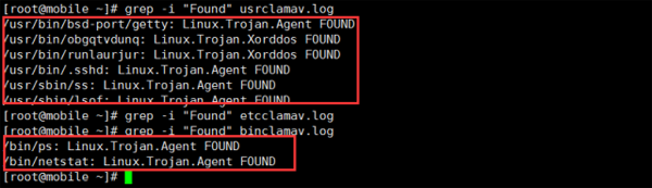運(yùn)維服務(wù)管理體系建設(shè)方案_運(yùn)維服務(wù)服務(wù)器網(wǎng)絡(luò)設(shè)備日常巡檢報(bào)告_服務(wù)器運(yùn)維