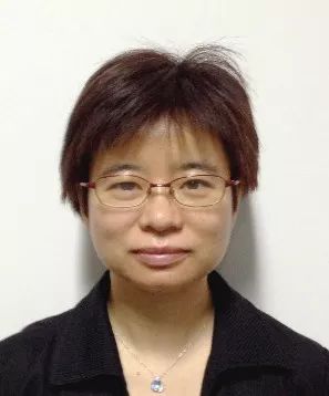 it公司_it公司速查手冊_石家莊it公司