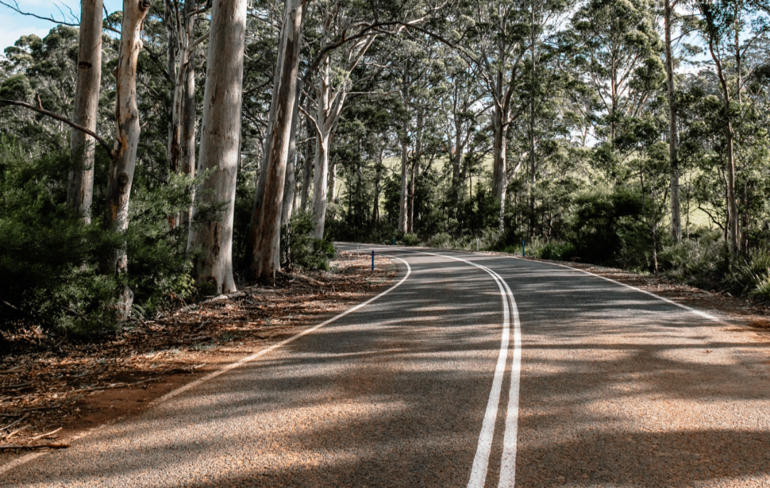 it服務目錄_it服務合同范本_it服務